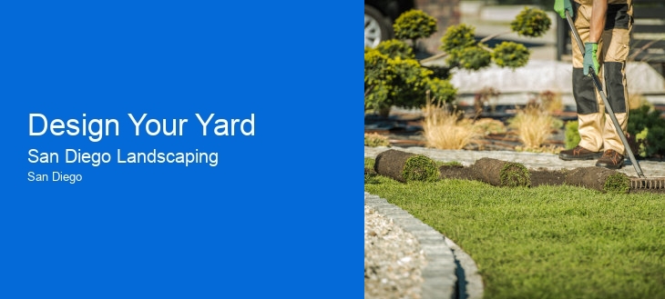 Design Your Yard
