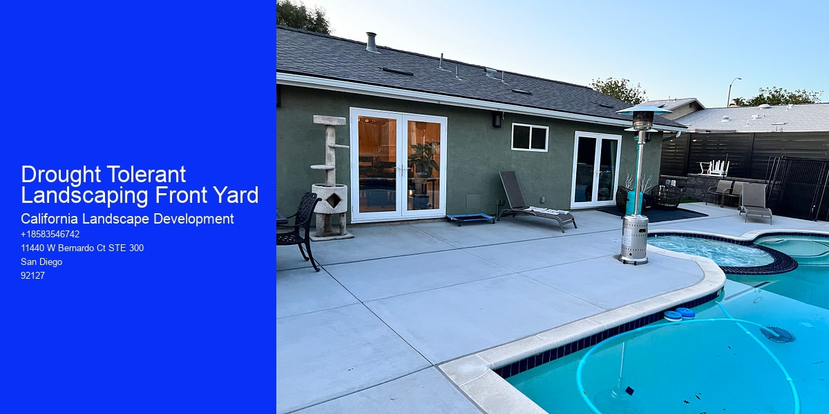 Drought Tolerant Landscaping Front Yard